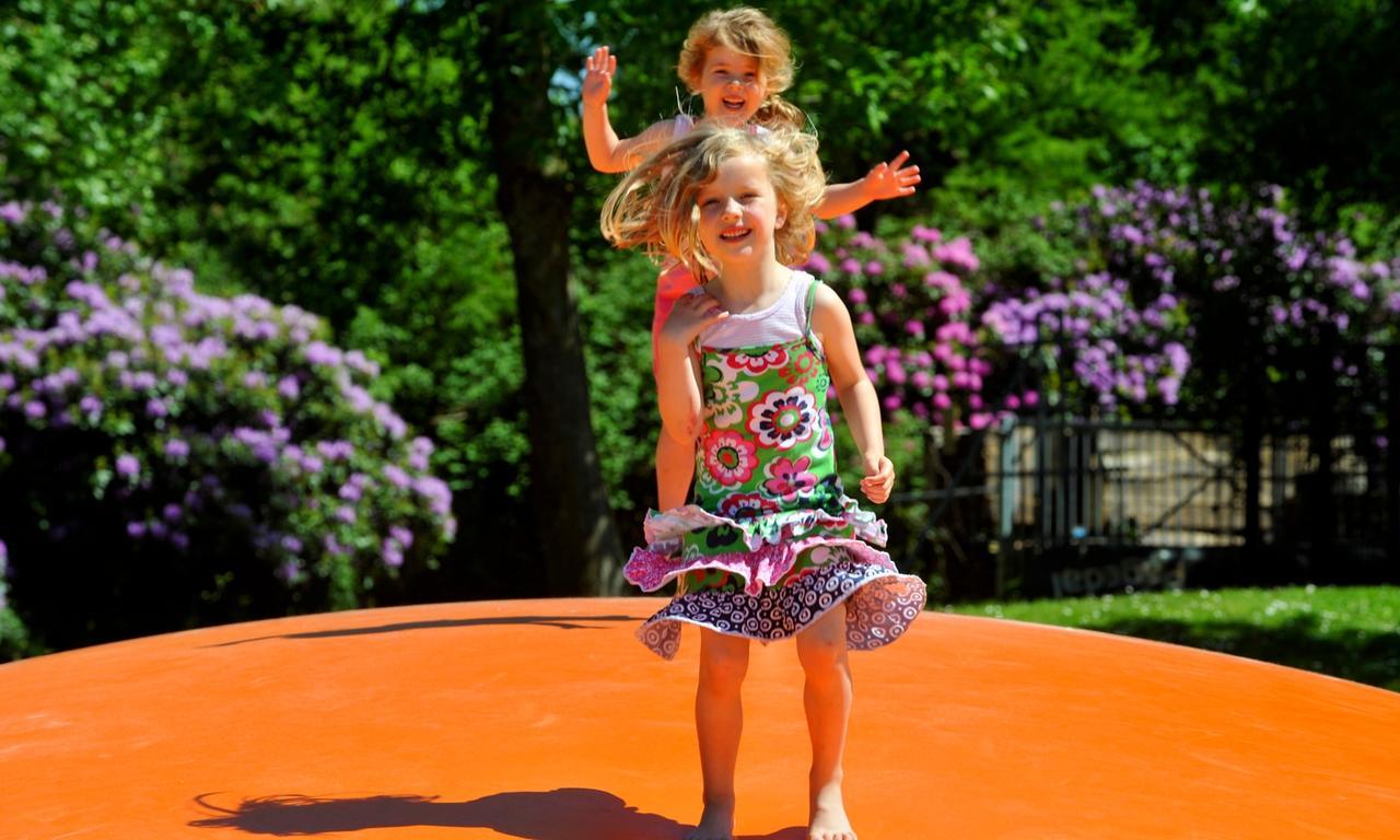 Vakantiepark Westerwolde Pagedal 스타즈캐널 외부 사진