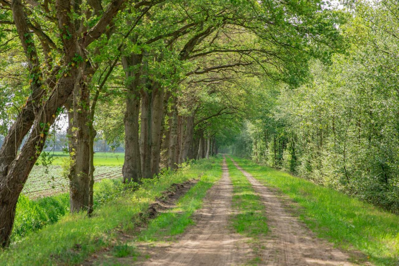 Vakantiepark Westerwolde Pagedal 스타즈캐널 외부 사진